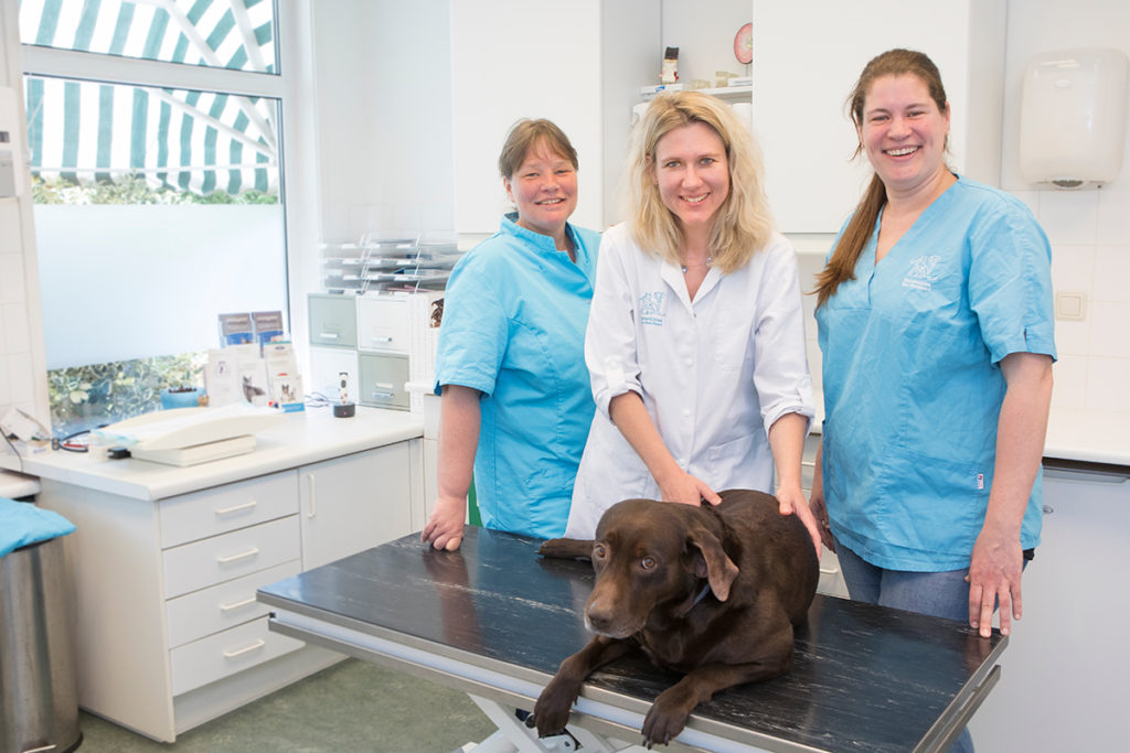 Dierenkliniek van Montfoort Dierenartsenpraktijk voor gezelschapsdieren Voorburg